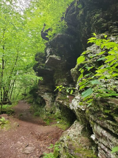 Evergreen Trail at Ricketts Glen - Benton, PA