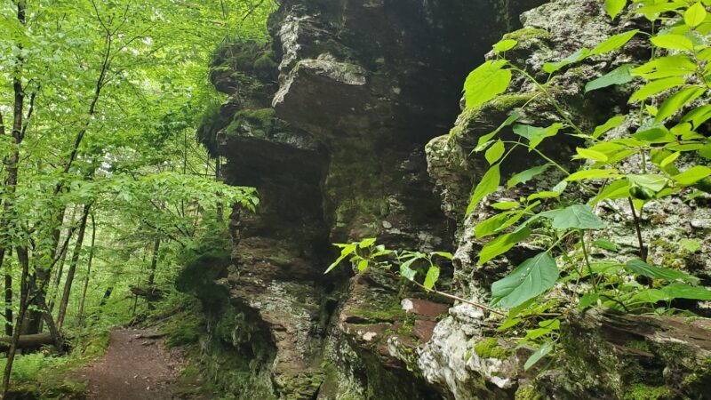 Evergreen Trail at Ricketts Glen - Benton, PA