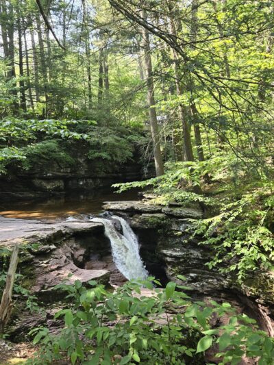 Evergreen Trail at Ricketts Glen - Benton, PA