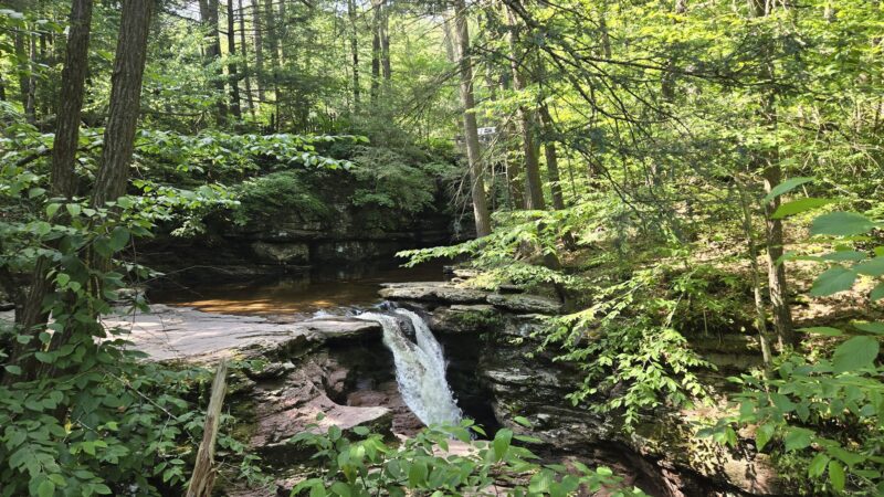 Evergreen Trail at Ricketts Glen - Benton, PA