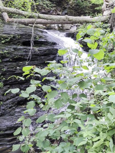 Falls Trail - Benton, PA