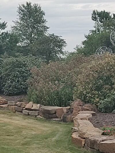 Orchards Dog Park - Bentonville, AR