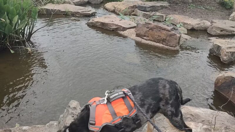 Orchards Dog Park - Bentonville, AR