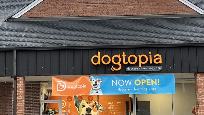 Dogtopia of Berkeley Heights - Berkeley Heights, NJ