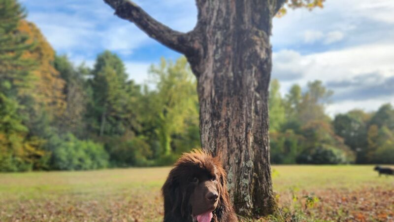 Kiwanis Park - Bernardston, MA