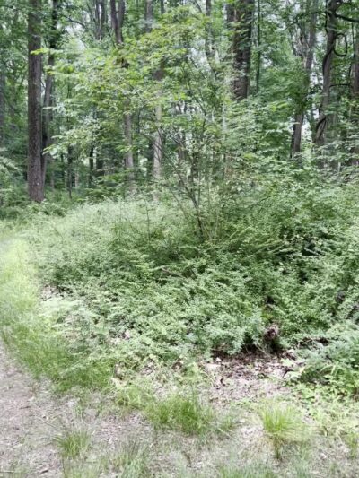 New Jersey Brigade Area - Bernardsville, NJ