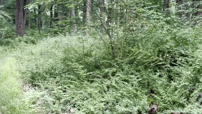 New Jersey Brigade Area - Bernardsville, NJ