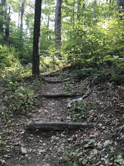 New Jersey Brigade Area - Bernardsville, NJ