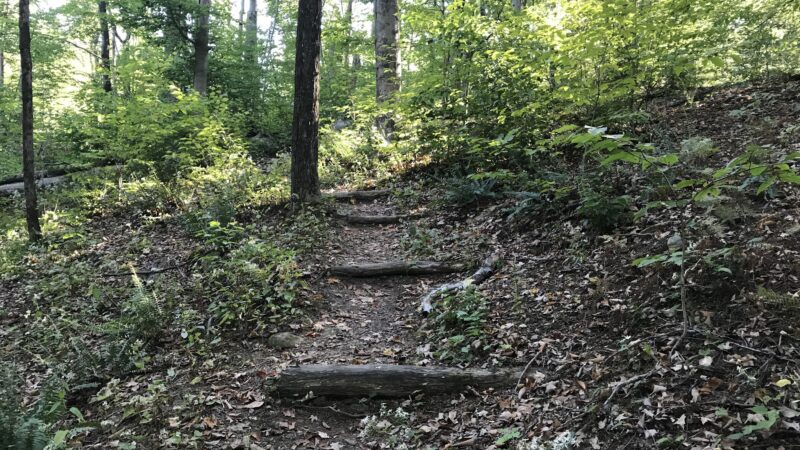 New Jersey Brigade Area - Bernardsville, NJ