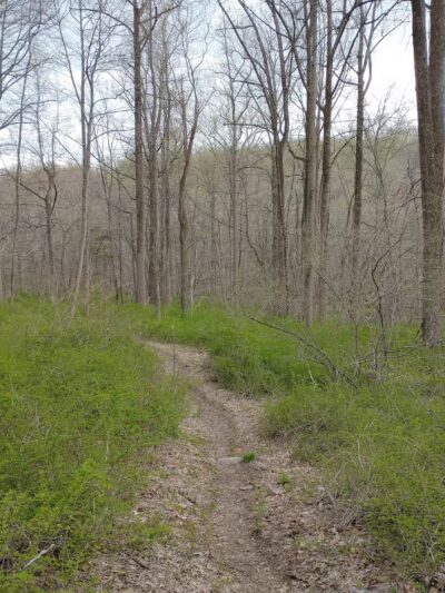 New Jersey Brigade Area - Bernardsville, NJ