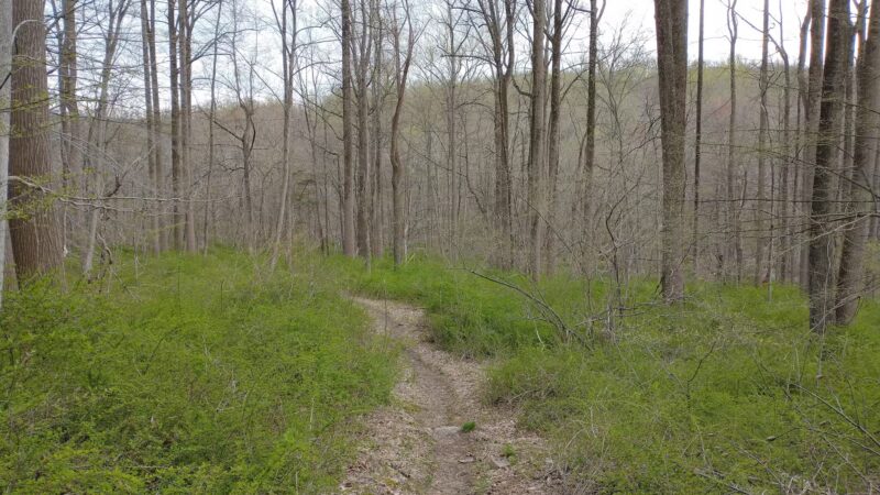 New Jersey Brigade Area - Bernardsville, NJ