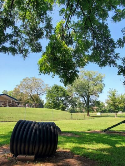 Berryville dog park - Berryville, AR