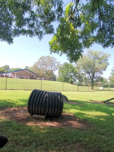 Berryville dog park - Berryville, AR