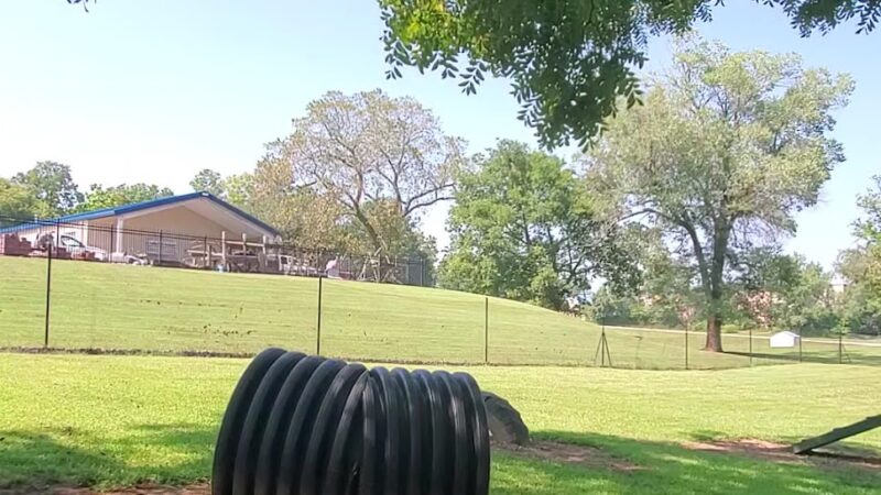 Berryville dog park - Berryville, AR