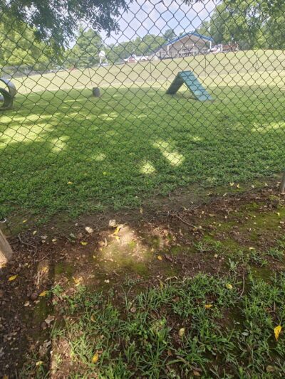 Berryville dog park - Berryville, AR