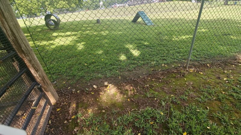 Berryville dog park - Berryville, AR