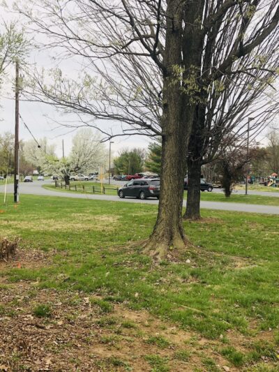 Chet Hobert Park - Berryville, VA