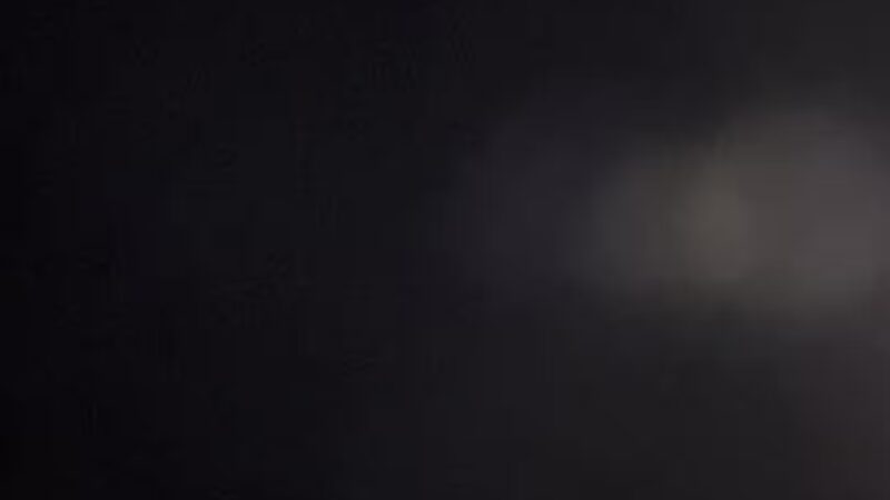 Dog Park at Love’s Travel Stops - Berthoud, CO