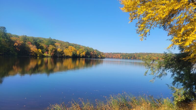 Lake Superior State Park - Bethel, NY