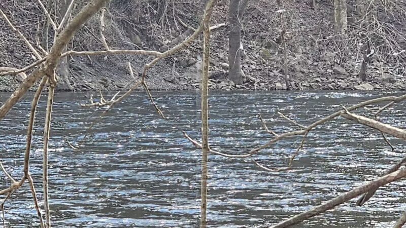 D&L Trail: Nagy’s Landing Trailhead & parking - Bethlehem, PA