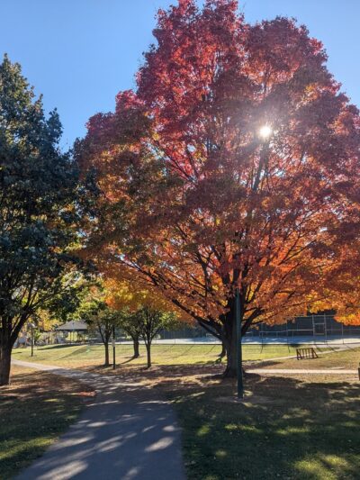Hanover Township Municipal Park - Bethlehem, PA
