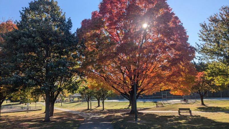 Hanover Township Municipal Park - Bethlehem, PA