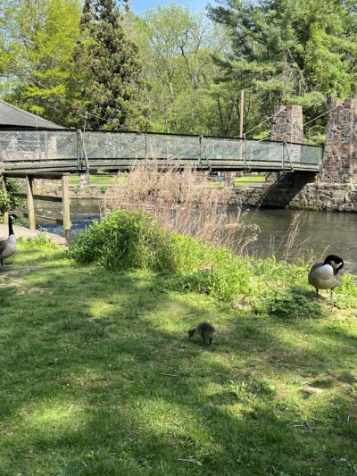 Monocacy Park - Bethlehem, PA