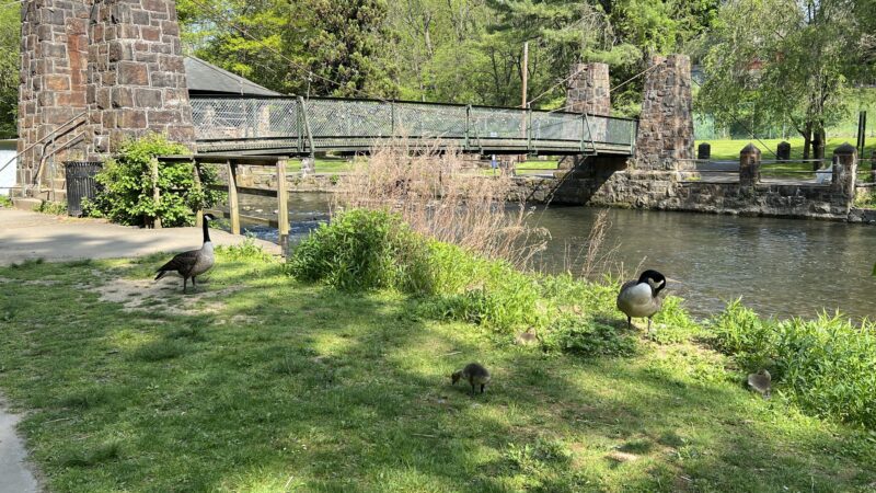 Monocacy Park - Bethlehem, PA