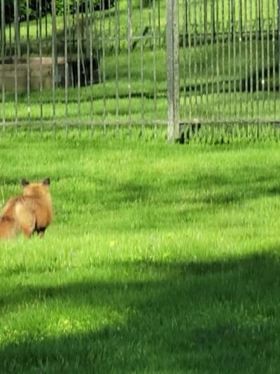 Monocacy Way - Bethlehem, PA