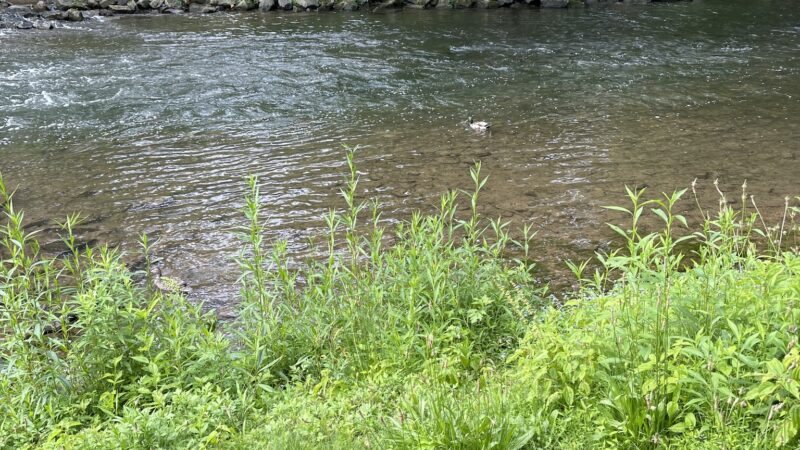 Monocacy Way - Bethlehem, PA