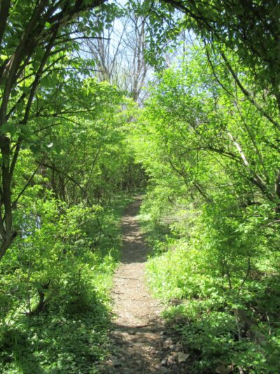 Monocacy Way - Bethlehem, PA