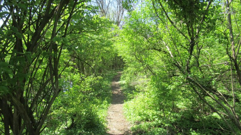 Monocacy Way - Bethlehem, PA