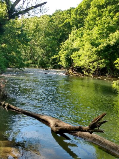Monocacy Way - Bethlehem, PA