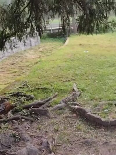 Saucon Park - Bethlehem, PA