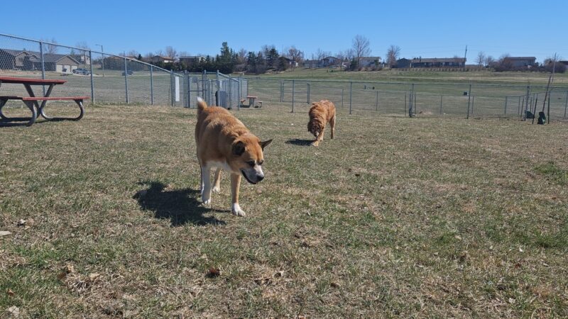 Sparks Dog Park - Beulah, ND