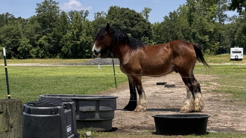 Whippoorwill Camp Ground - Beulaville, NC