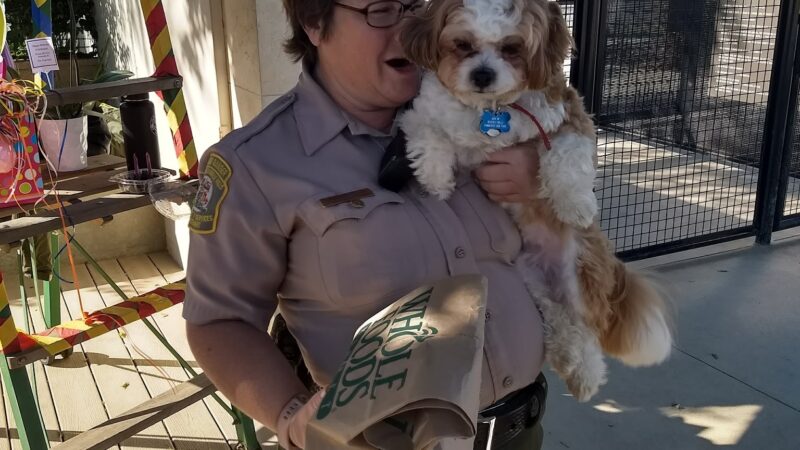 Beverly Hills Dog Park - Beverly Hills, CA