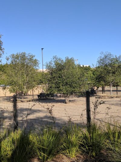 Beverly Hills Dog Park - Beverly Hills, CA