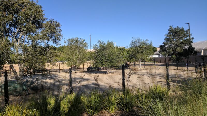 Beverly Hills Dog Park - Beverly Hills, CA