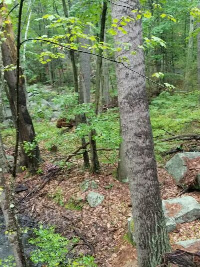 Clifford Park - Biddeford, ME