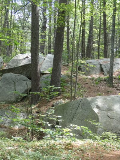 Clifford Park - Biddeford, ME