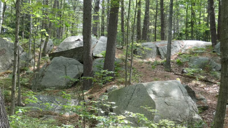 Clifford Park - Biddeford, ME