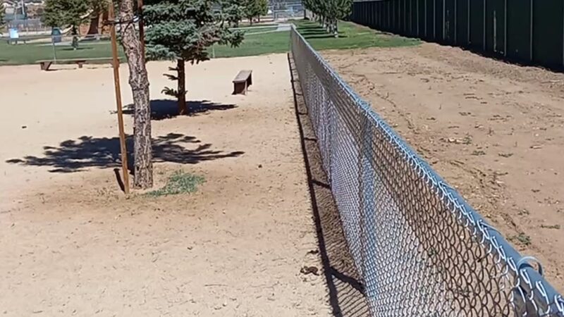 Bark Park Dog Park - Big Bear, CA