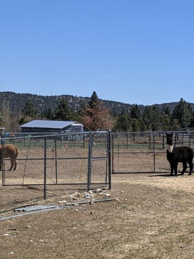 Erwin Lake Park - Big Bear, CA