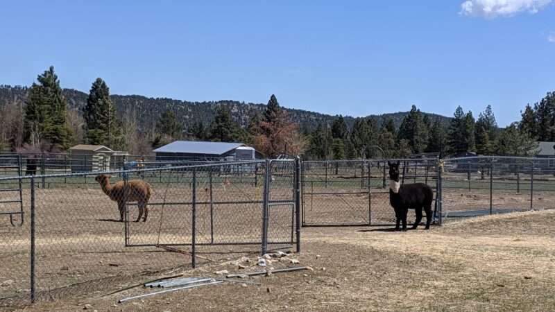 Erwin Lake Park - Big Bear, CA