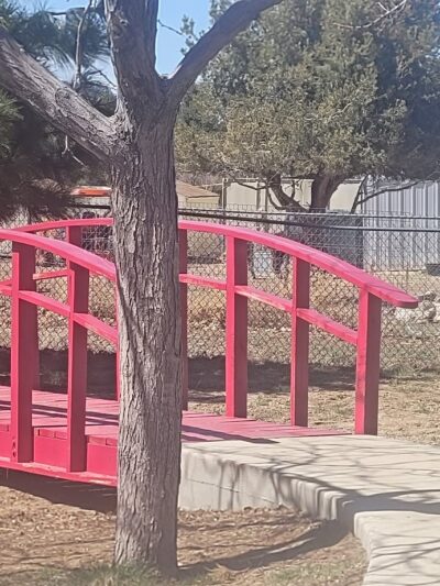 Erwin Lake Park - Big Bear, CA