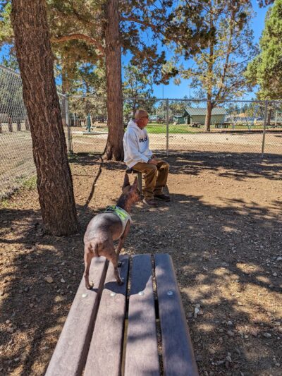 Sugarloaf Park - Big Bear, CA