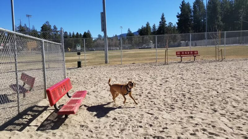 Bark Park - Big Bear Lake, CA