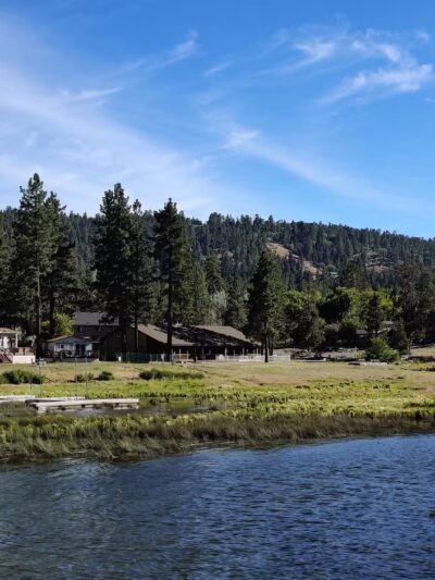Bark Park - Big Bear Lake, CA