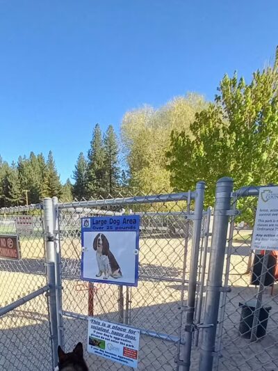 Bark Park - Big Bear Lake, CA